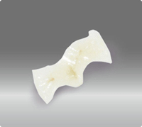 診療案内|曽根駅前歯科クリニック