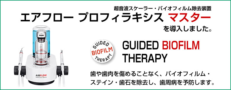 スイスEMS社 エアフロープロフィラキシスマスター