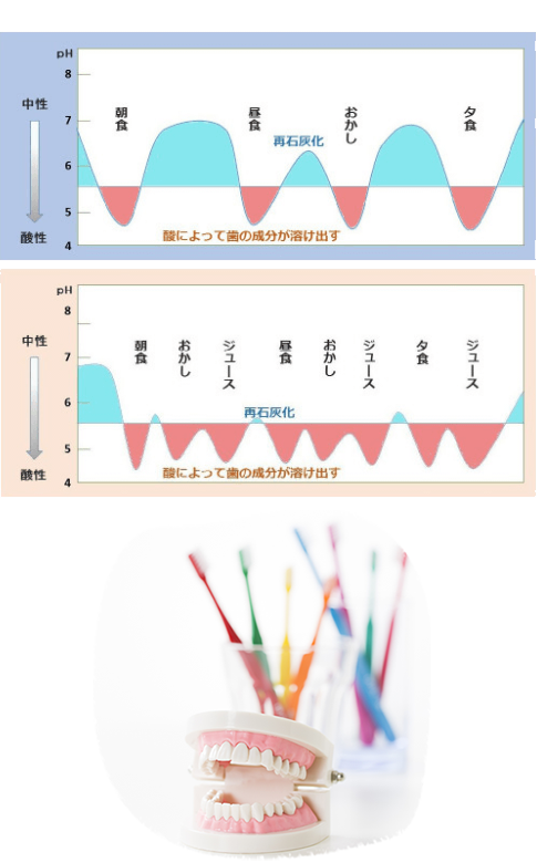 ステファンカーブ|曽根駅前歯科クリニック